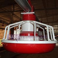 دانخوری بشقابی دانخوری بشقابی